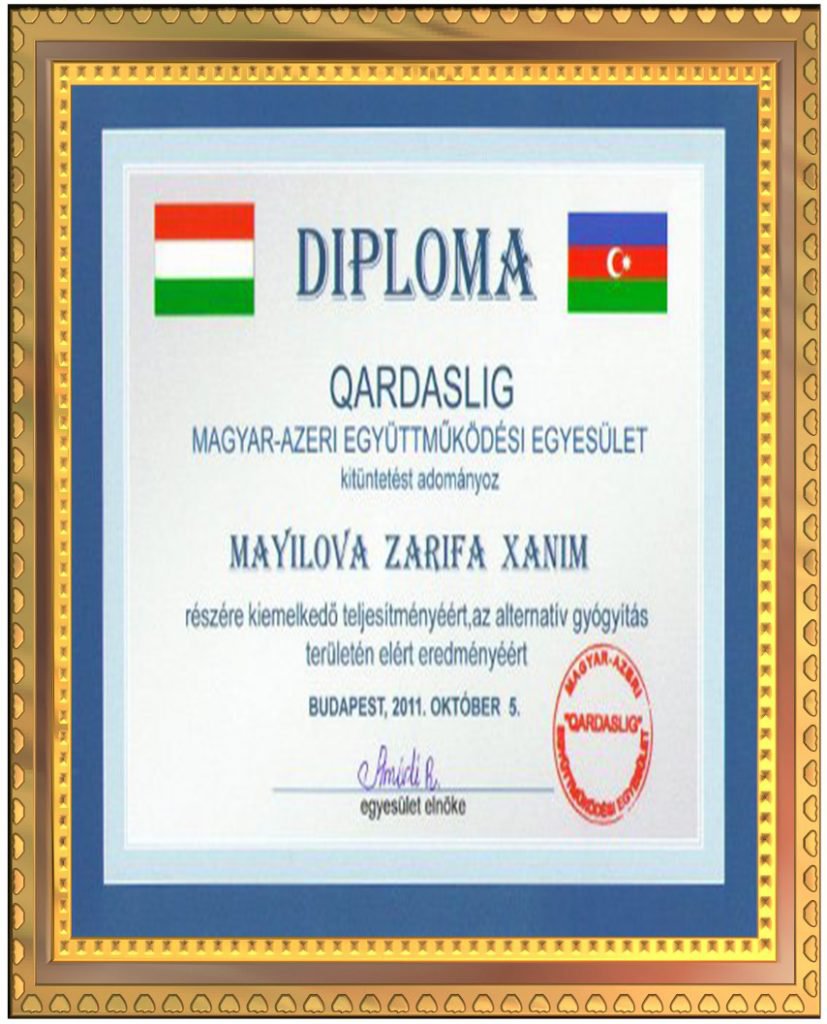 05.11.2011 Budapeşte'de yaptığı hizmetler için Kardeşlik Diploması verildi.